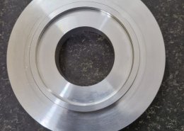 Marshall Precision (174)