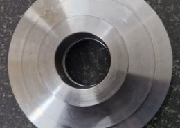 Marshall Precision (76)